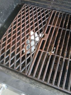 Grill