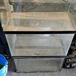 Fishtank