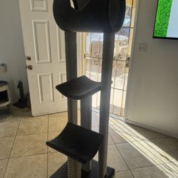 Cat Tree 