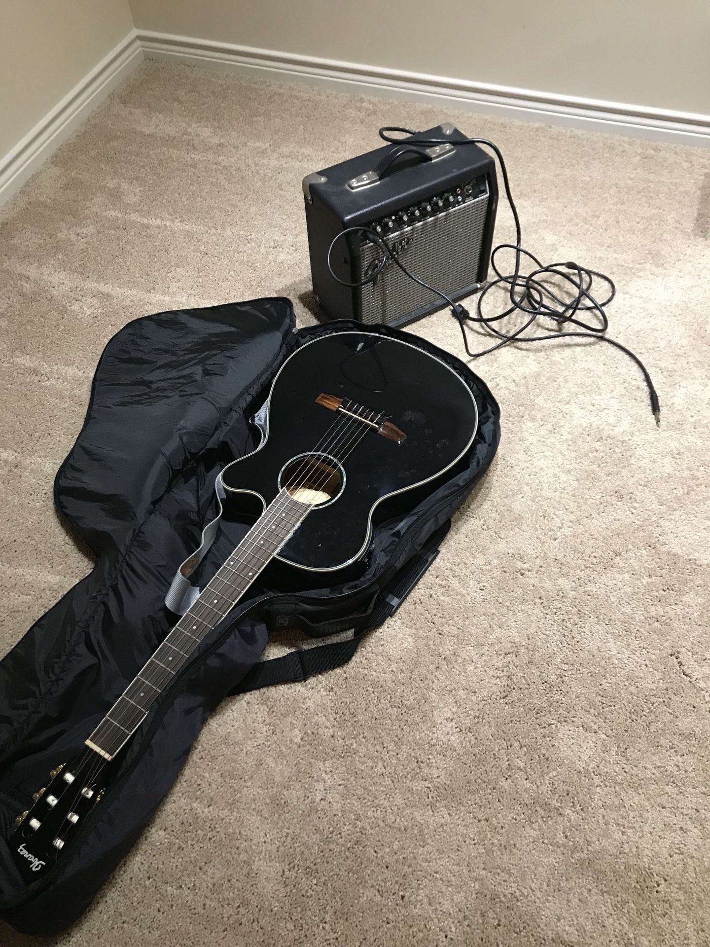 Acoustic/Electric Guitar