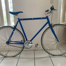 SE Racing Draft