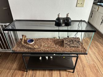 Reptile Tank