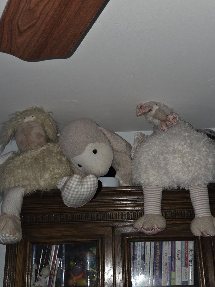Stuffed Animals Never Used