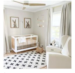 Crate and barrell baby crib
