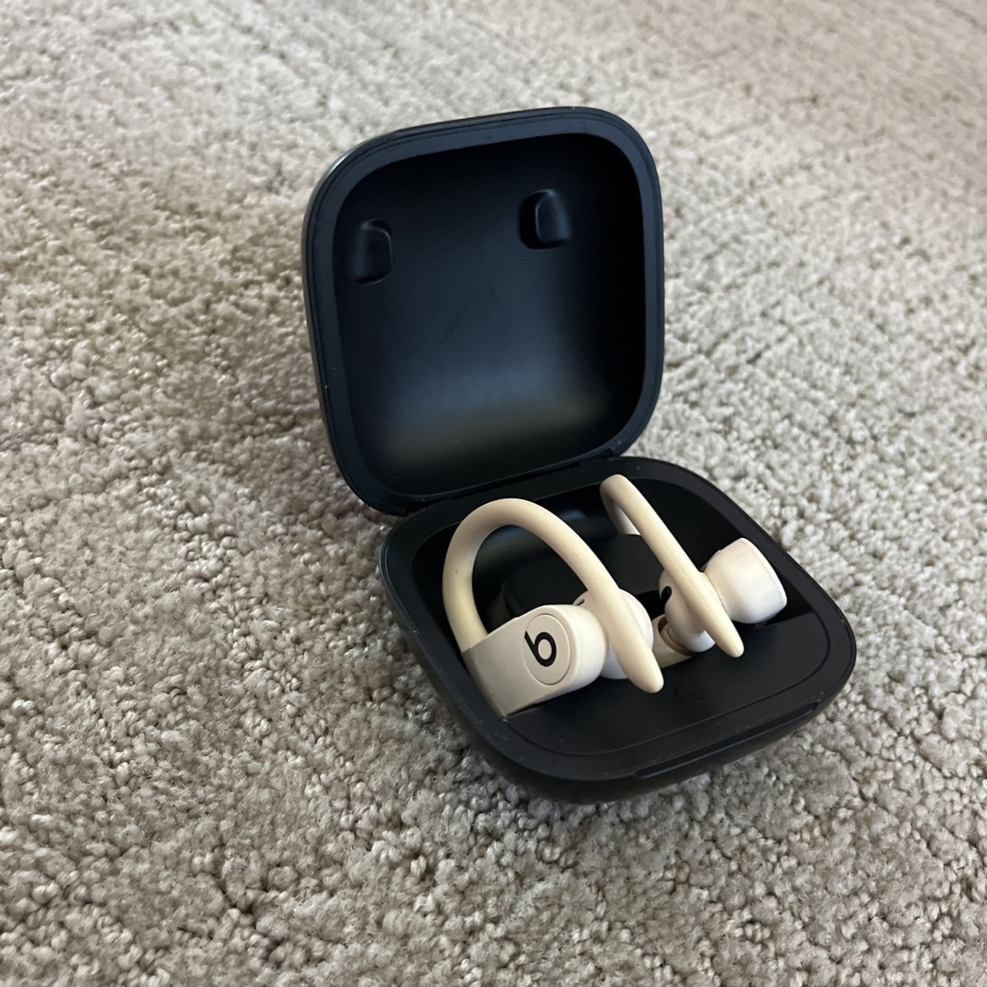 Powerbeats Pro Earbuds