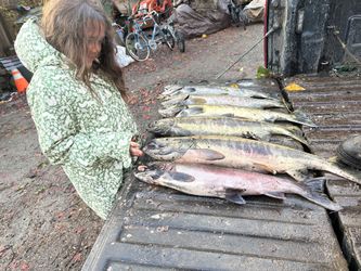 Fishing Lures