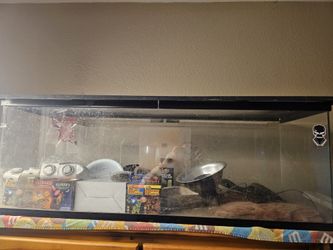 Terrarium