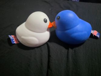 Blue an white squishy Duck