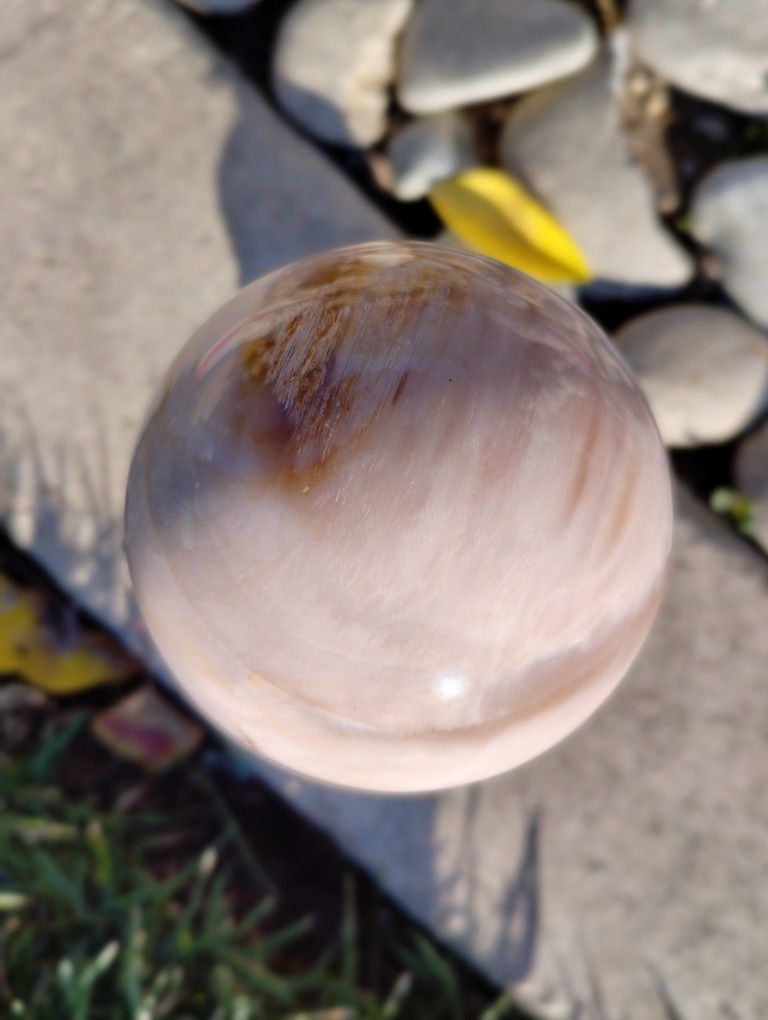 California Petrified Wood Spheres Local Opalized Granite Bay, Ca