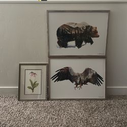 Decorative Wall Art Framed Bear Eagle And Flowers For Office Home Work Nature