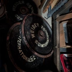 Pro International Olympic Weight Set 169  Pounds