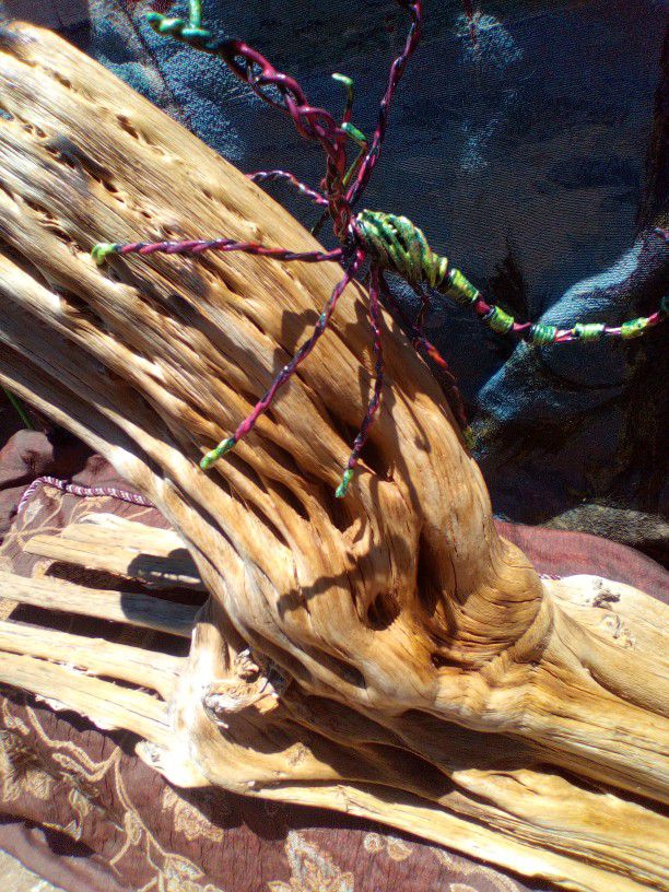 Saguaro Cactus Skeleton. Decorative Planter