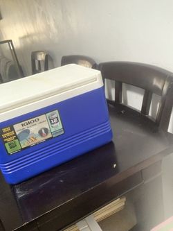 Igloo Travel Cool/lunch Box