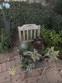 Plants moving out sale! 🪴‼️🪻🌵🌱
