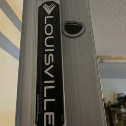 Louisville 16’ Ladder 