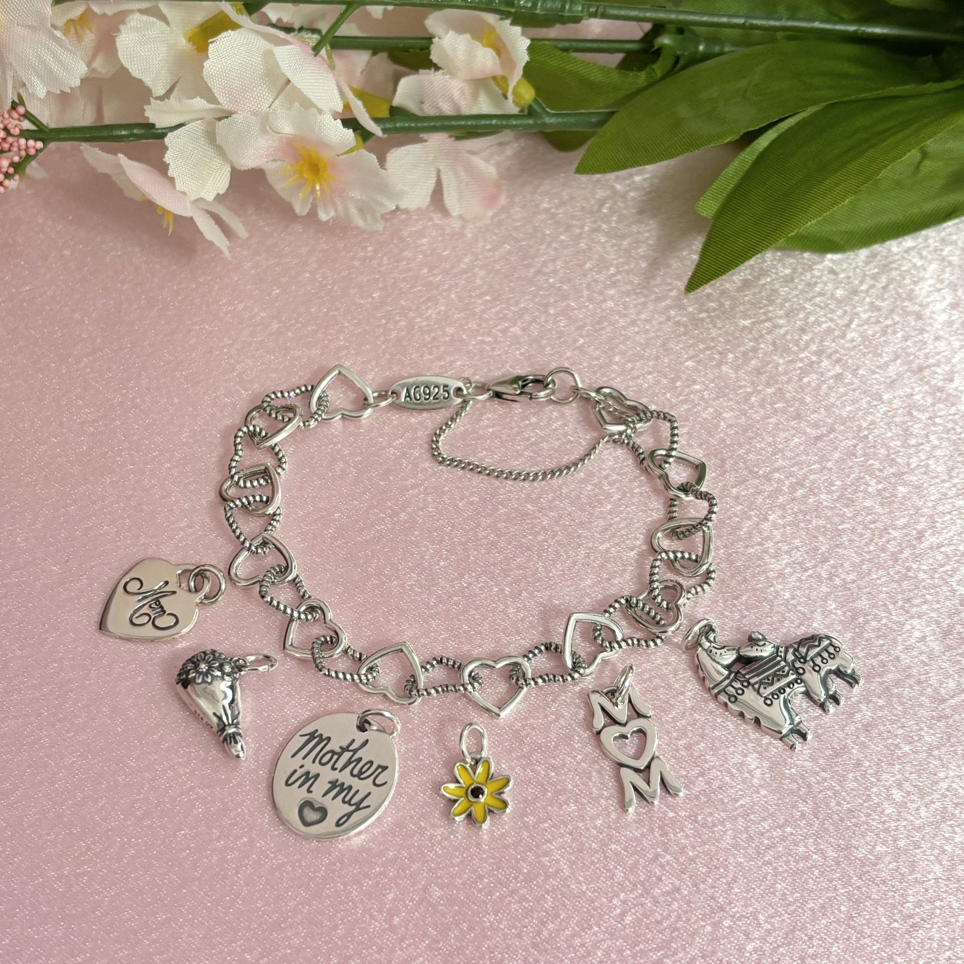 Bracelet And Charms ( Sold Separately)