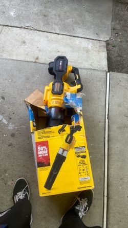 Dewalt leaf blower