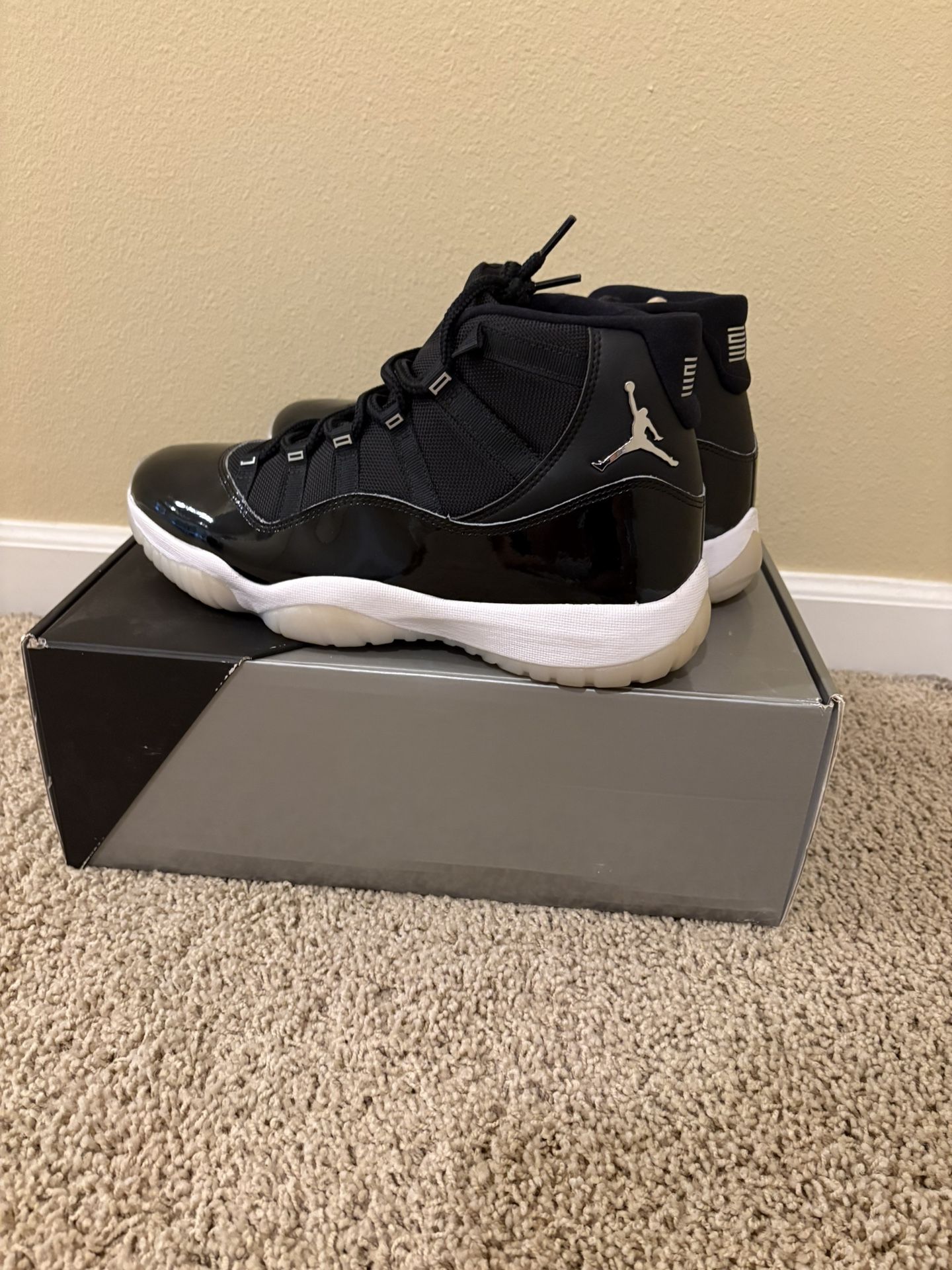 Air Jordan 11 Retro 25th Anniversary