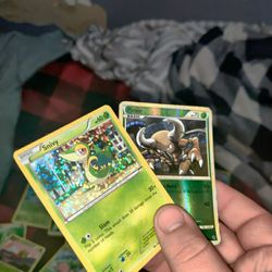 Pokemon Cards -  Grass Types, Fighting/Ground Types, A Few Holographics