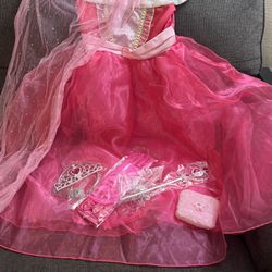 Girls Princess Dress Plus Accessories 