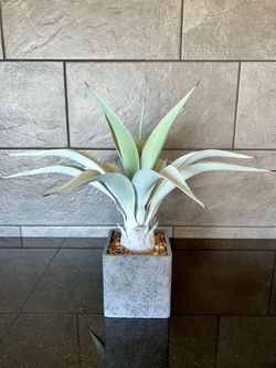 Pier 1 Faux Potted Palm/Agave Plant