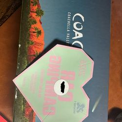 Coachella car camping