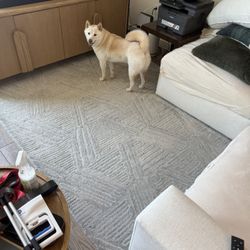 WestElm Carpet, Glacial Rug, 6x9, Frost Gray - Move Out Sale