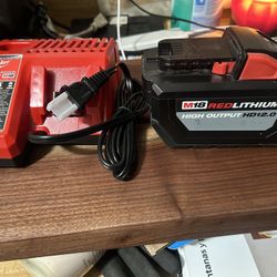 Milwaukee battery and battery charger