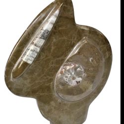 Natural Polished Ammonite and Orthocera Combo Fossil from Morocco F.0111