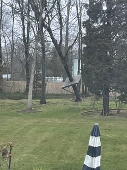 Tree Work