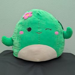 20" X large Squishmallows Cactus New With Tags