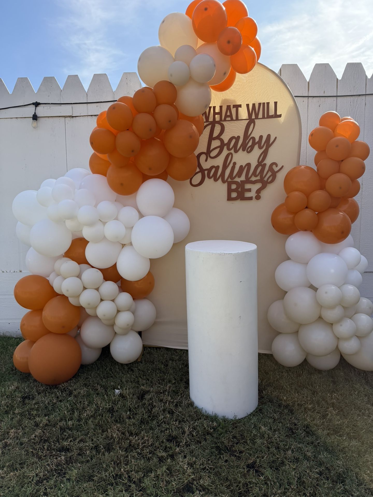 Baby Shower/ Gender Reveal