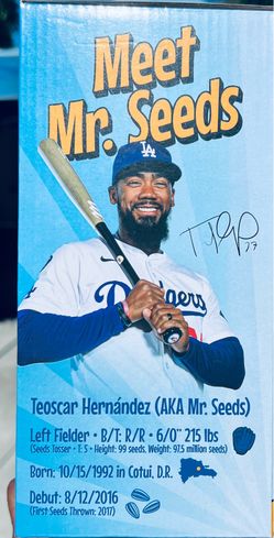 Teoscar Bobblehead. Mr Seeds