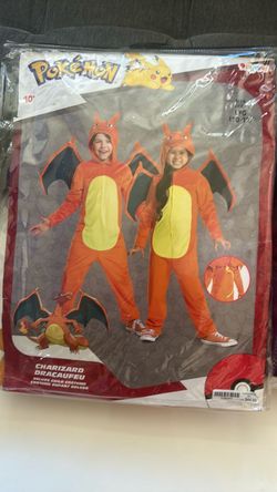 Pokémon costume
