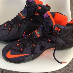 Nike LeBron 12 (2014) Instinct