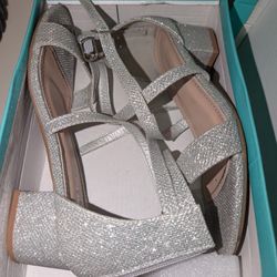 Silver Heel Shoes