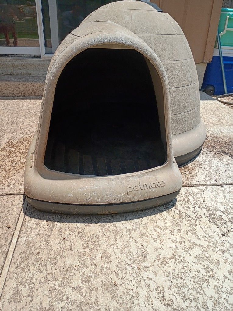 Dog House