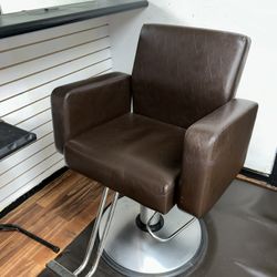 Salon Chair 