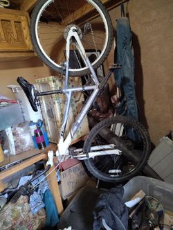 24inch Haro Hardtail