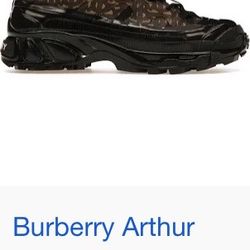 Burberry 10 Jordan’s 8.5