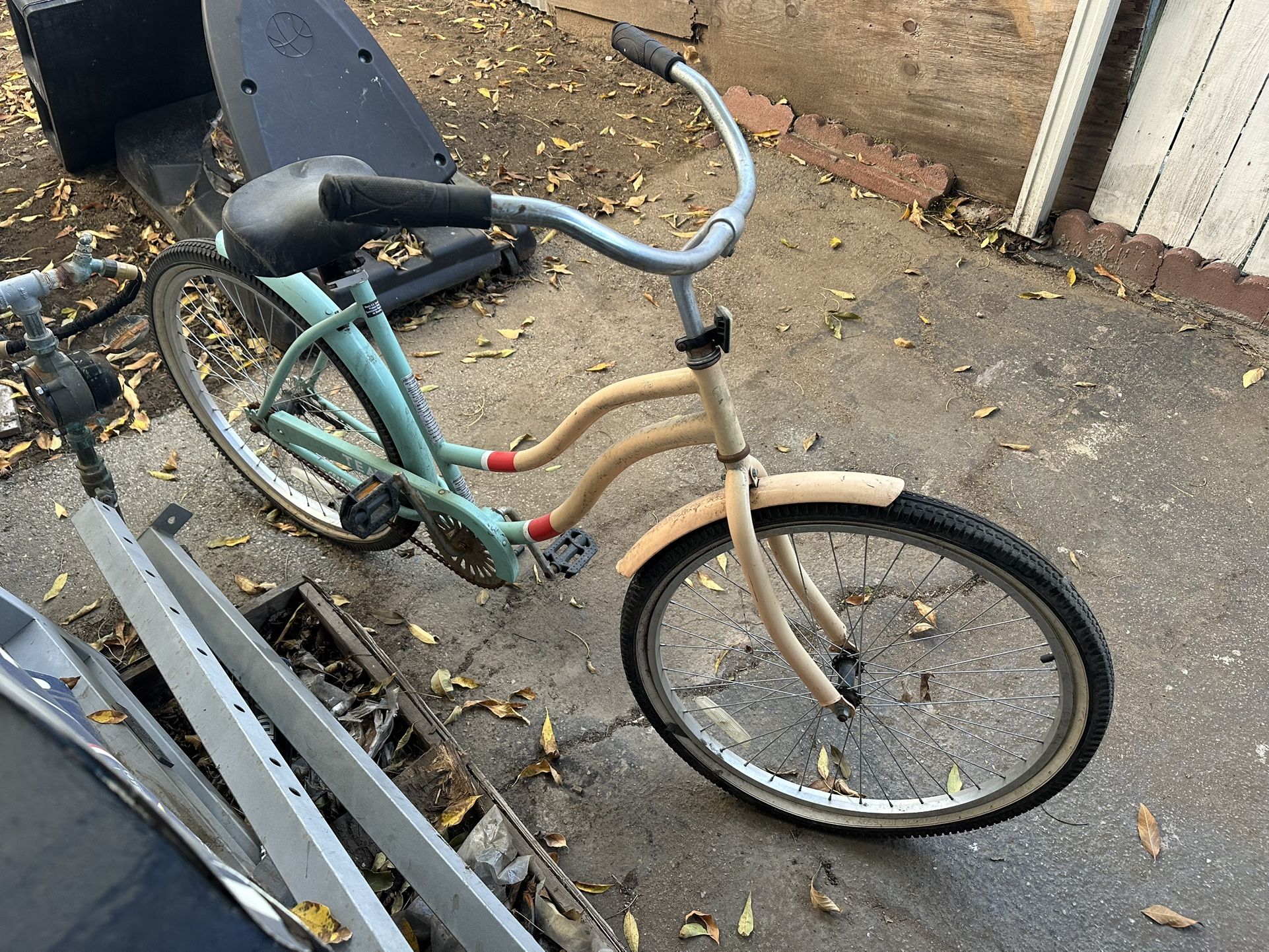 Starbucks Teavana Beach Cruiser