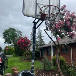 Basketball Hoop 