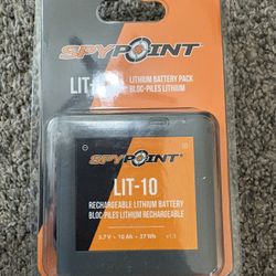 SPYPOINT LIT-10 3.7V Rechargeable Lithium Battery LINK-MICRO | CELL-LINK 10 200mAh for Cellular Trail Cameras with Charging Power Cable Included | Cel