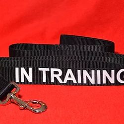 Dog Leash, In Training, Black