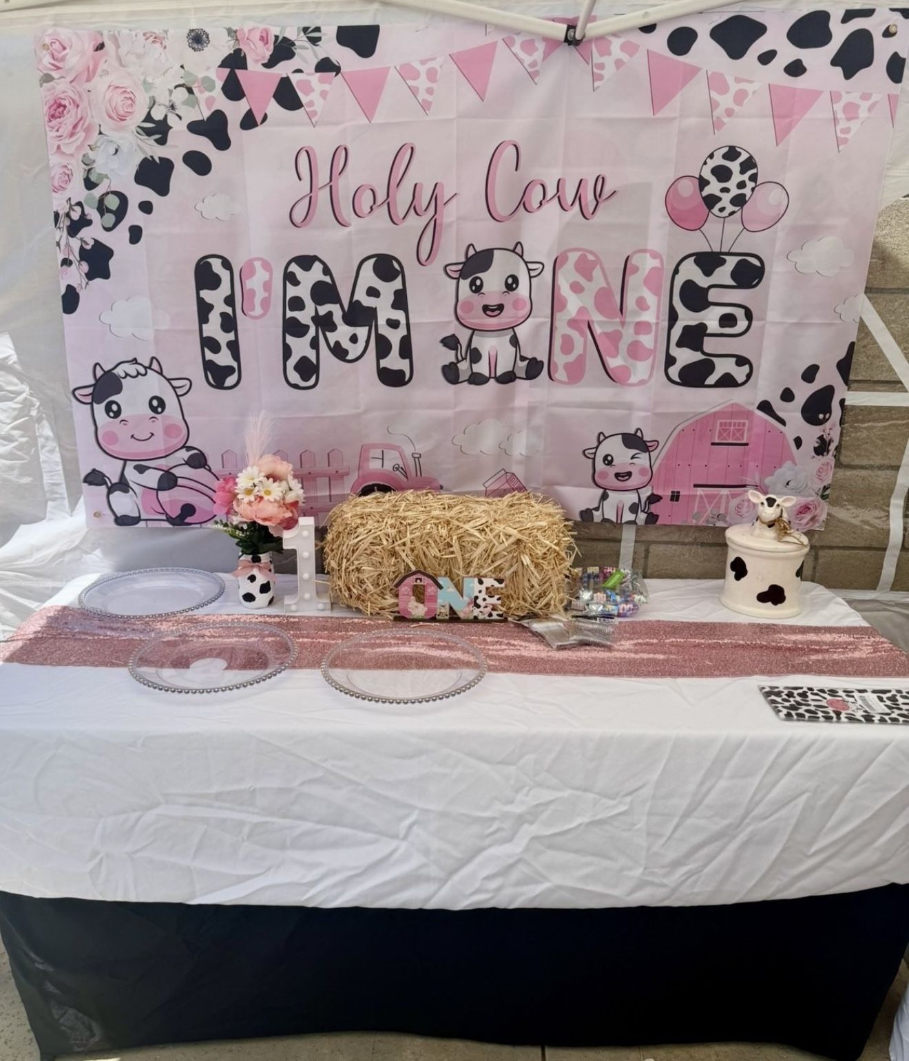 Holy Cow I’m One Party Decorations First Rodeo,