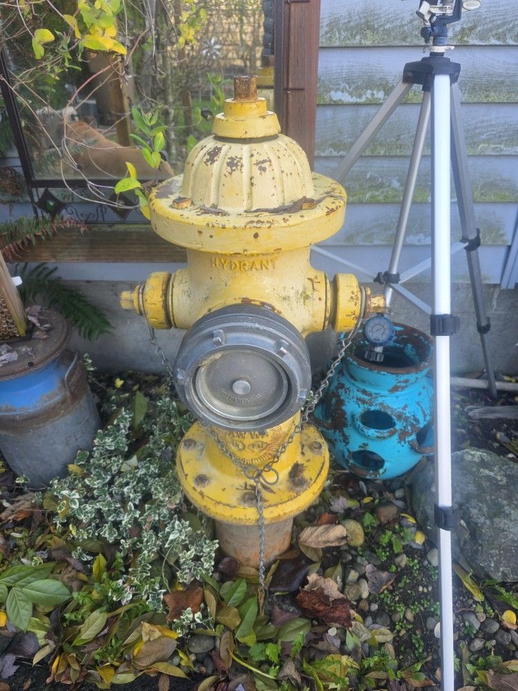 Fire Hydrant