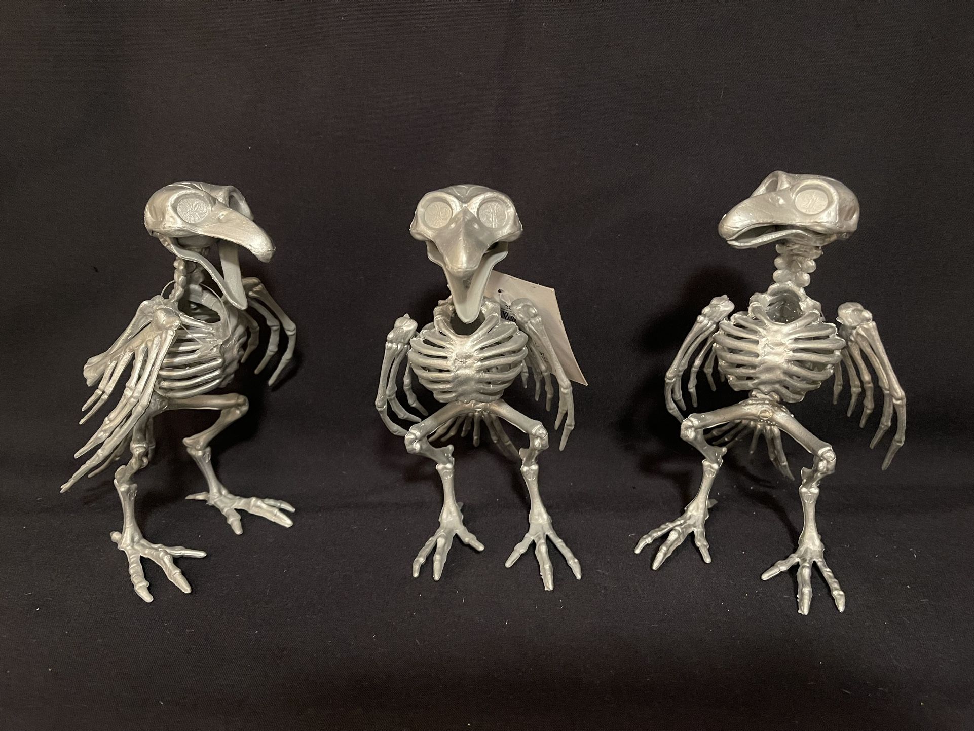 Set of 3 Horror CROW SKELETON BONES Dead Bird Poseable Halloween Prop Decoration 7”