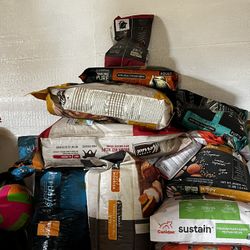 Dog Food 