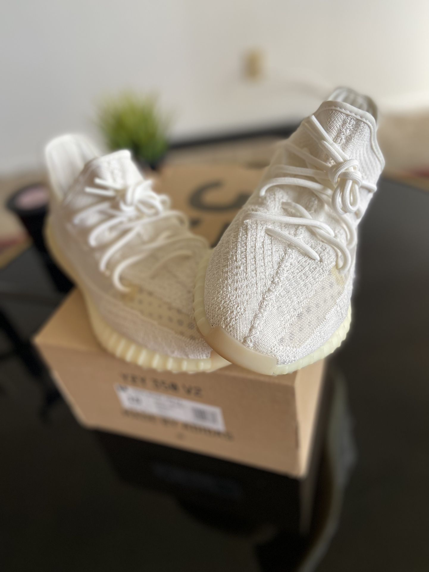 Yeezy Boost 350 V2 Bone White