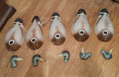 Teal and Mallard floating decoys